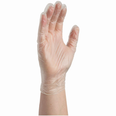 Disposable Vinyl Gloves – Powder Free – Large - Pack of 100