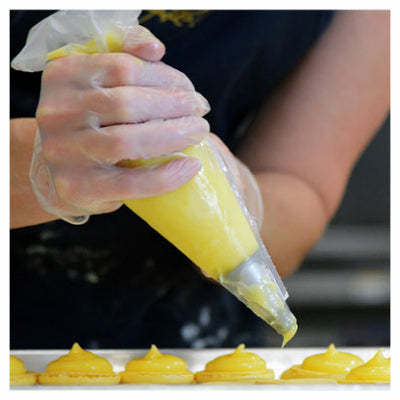 Disposable Vinyl Gloves – Powder Free – Large - Pack of 100