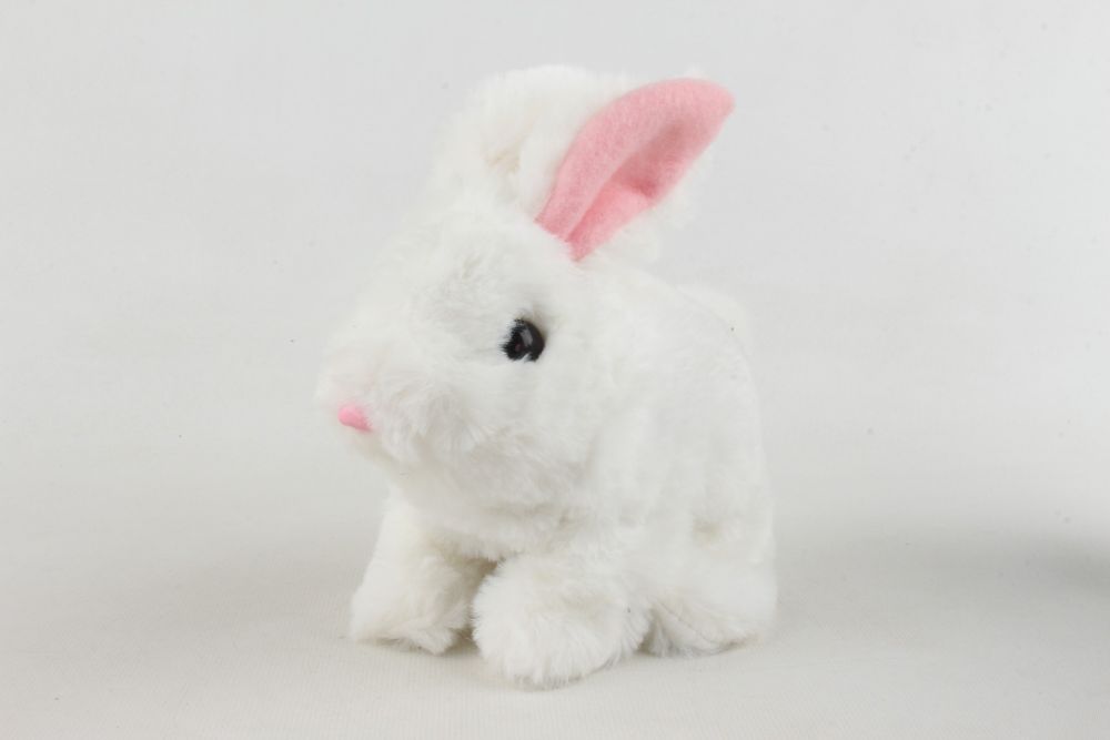 Pugs At Play – Hopper Jumping Rabbit Toy