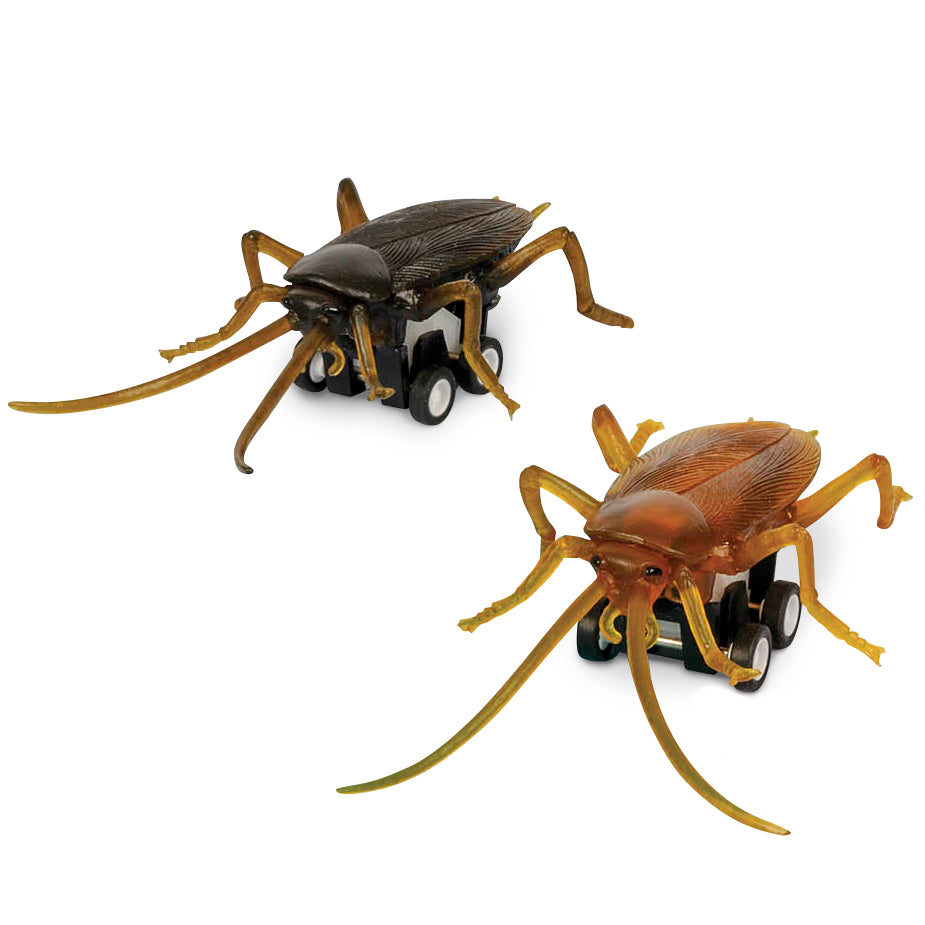 Archie McPhee Racing Roaches – Sold Individually