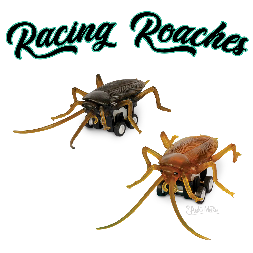 Archie McPhee Racing Roaches – Sold Individually