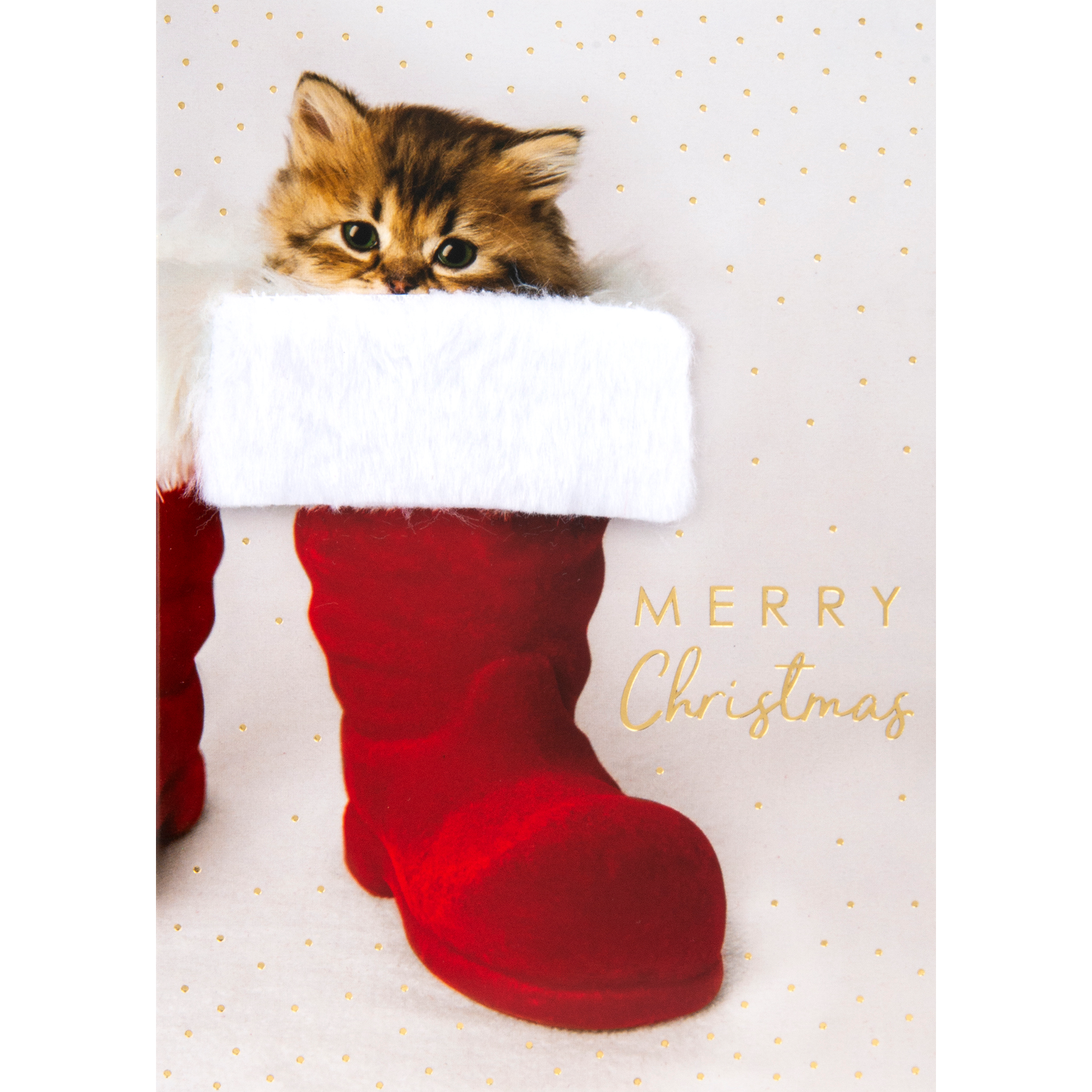 Design Design Kitten in Stocking Greeting Card – 1 Card & 1 Envelope