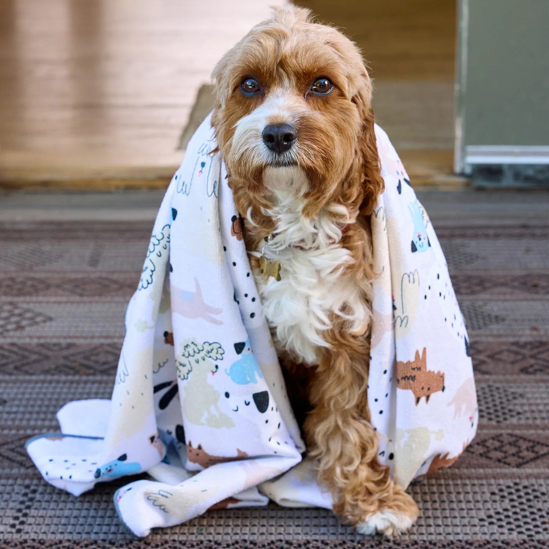 Werkshoppe Pooches & Pups Pet Drying Microfiber towel – 28" x 48"