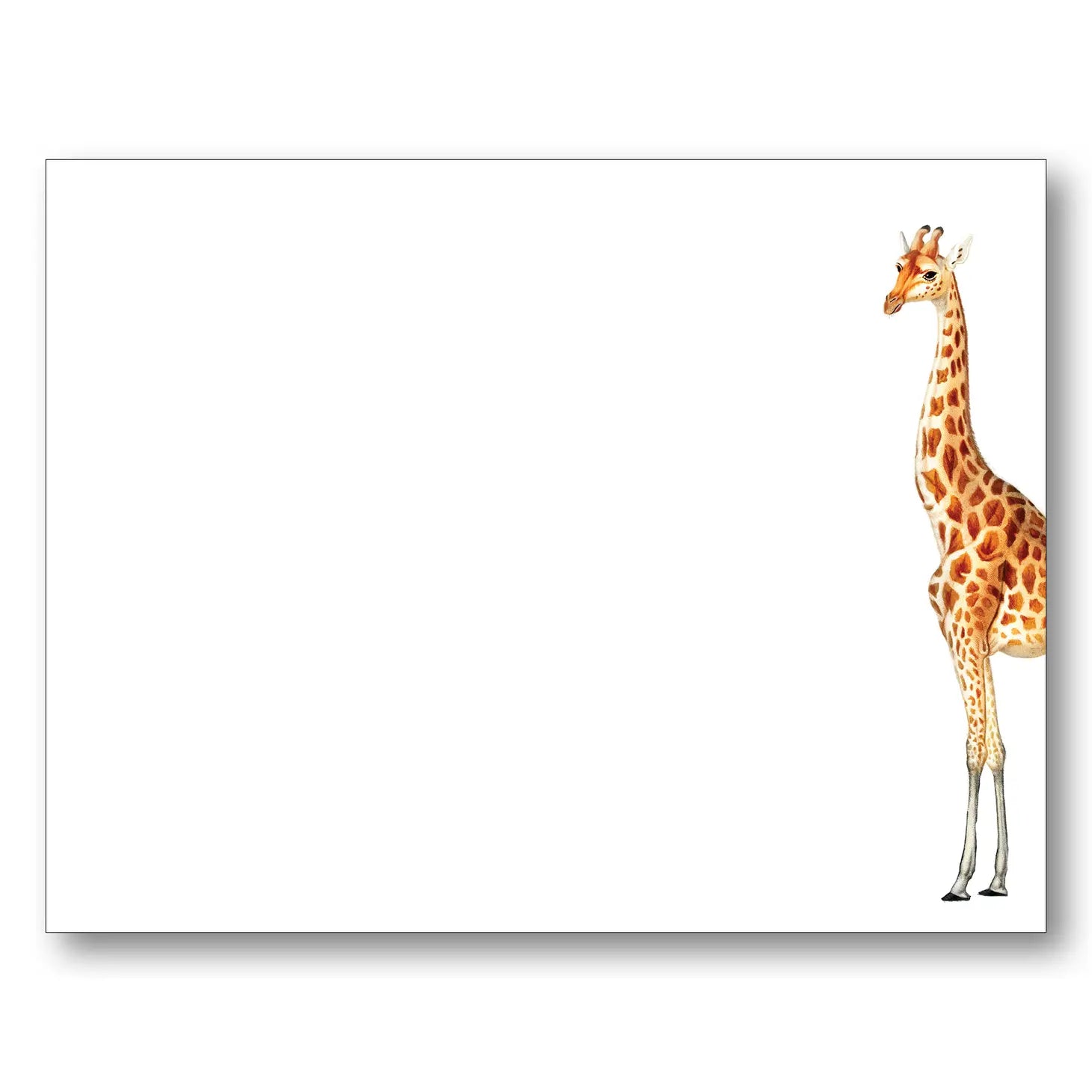 Maison de Papier Blank 4" x 6" Note Cards – Set of 8 – Giraffe