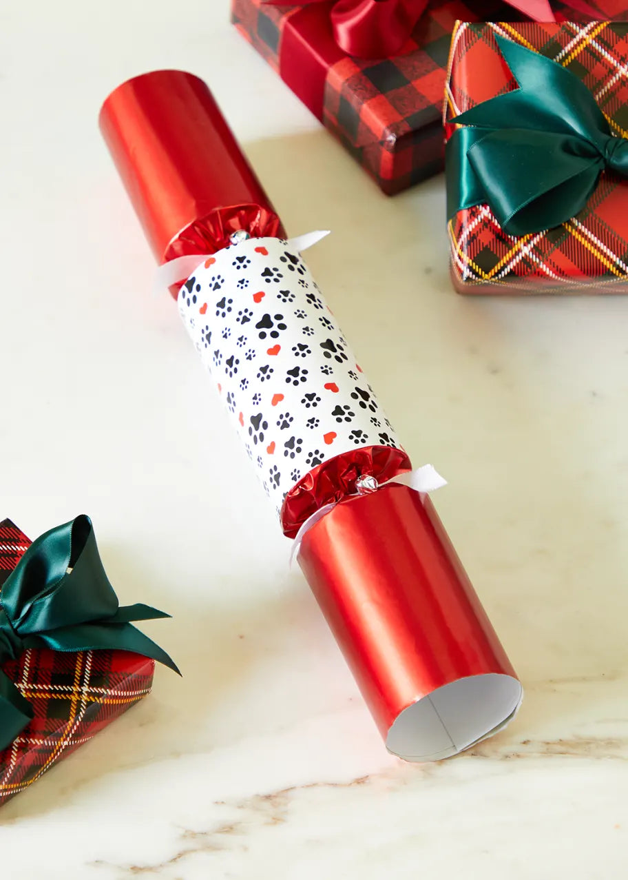 Robin Reed Pet Dog Holiday Christmas Party Cracker