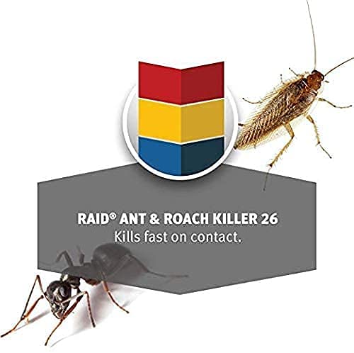 Raid Ant & Roach Killer – Outdoor Fresh – 17.5 oz