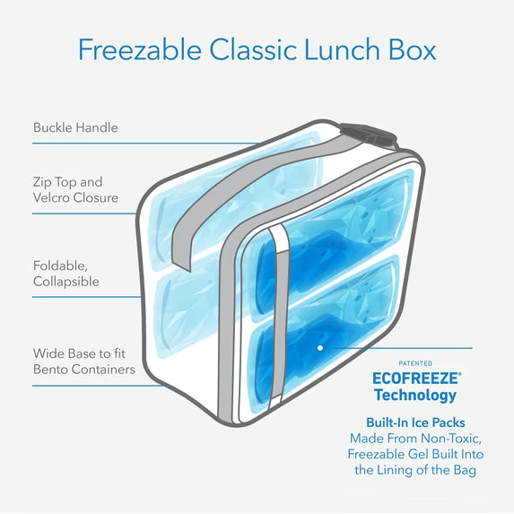 Packit Freezable Classic Lunch Box – 10" x 8" – Magenta