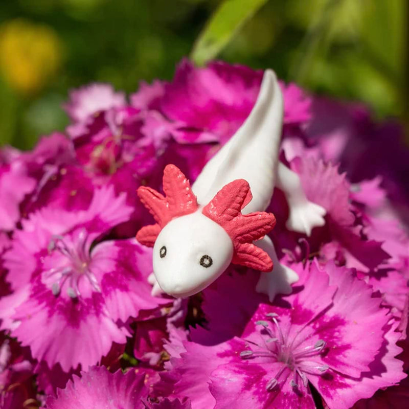Archie McPhee Itty Bitty Axolotls – Pack of 8