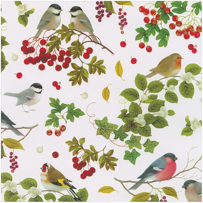 Caspari Winter Birds White Gift Wrap Paper - 30" x 8' Roll – Local Delivery Only