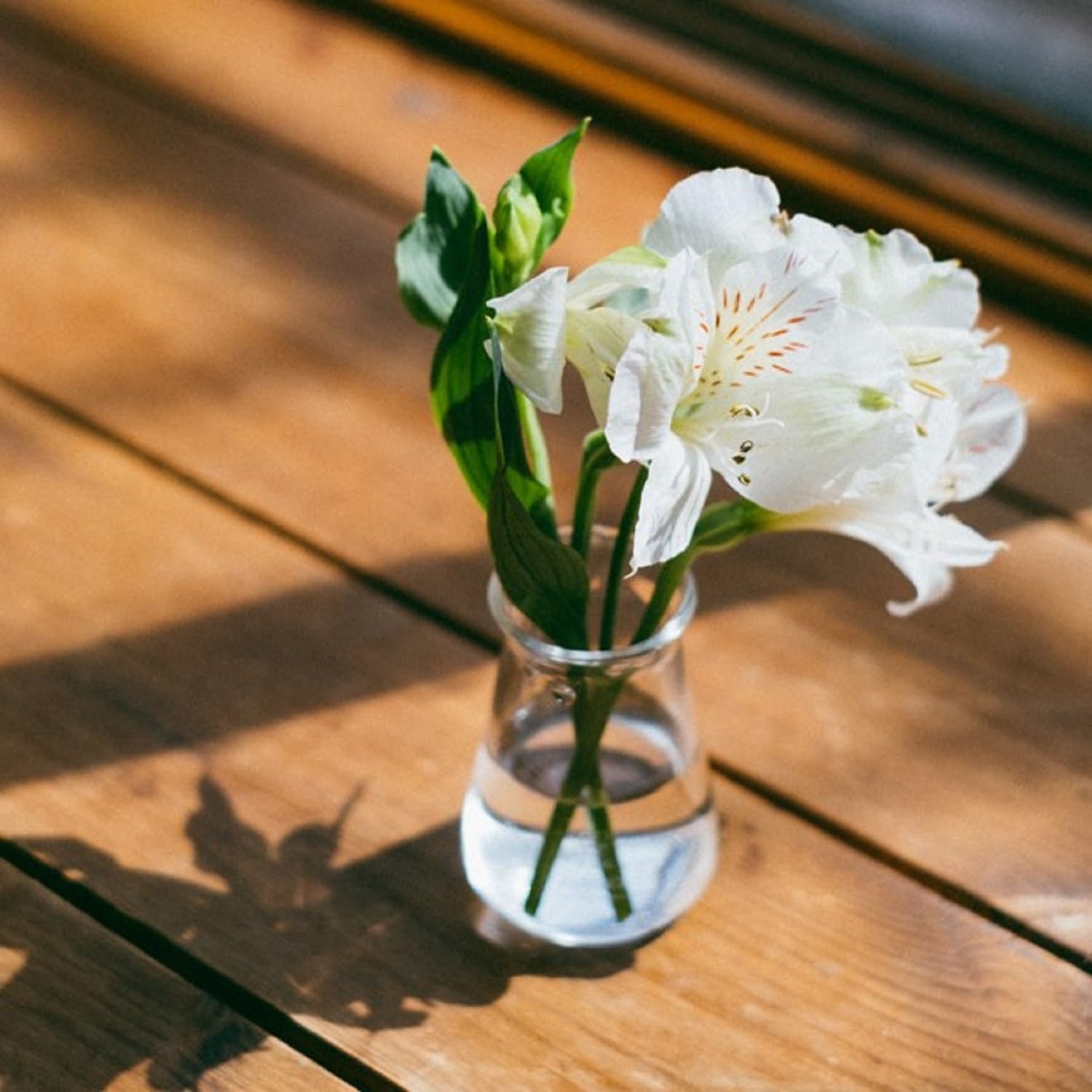 Hario Crafts Science Conical Tabletop Pitcher – 3.4oz