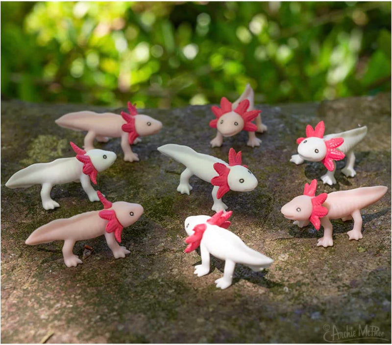 Archie McPhee Itty Bitty Axolotls – Pack of 8