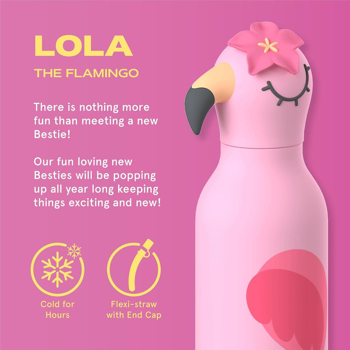 ASOBU Bestie Water Bottle – Flamingo – 16oz – 3" X 8"