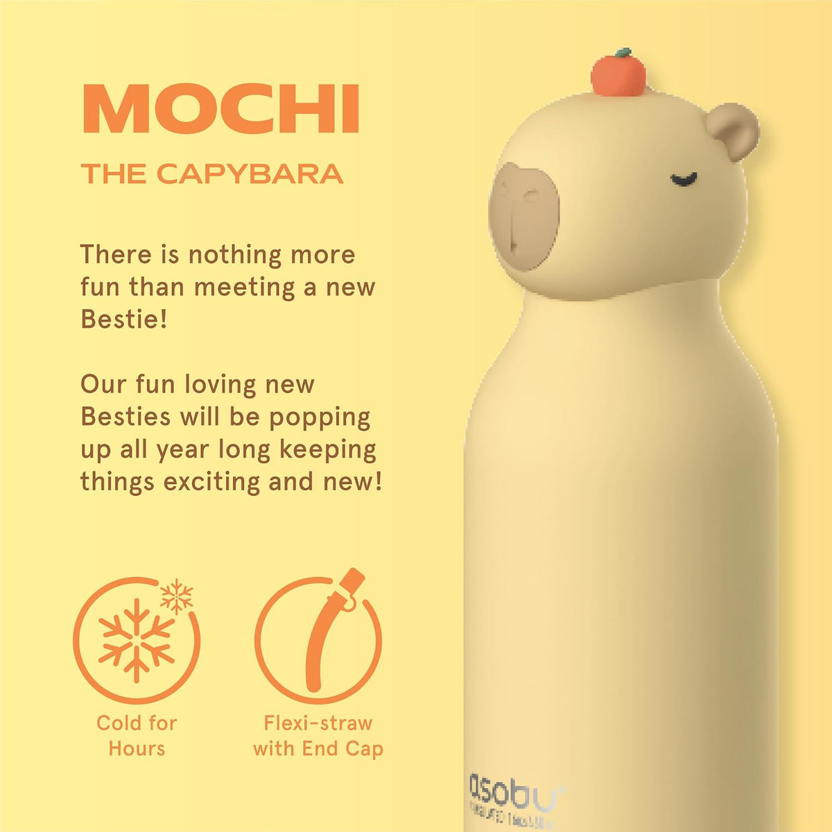 ASOBU Bestie Water Bottle – Capybara – 16oz – 3" X 8