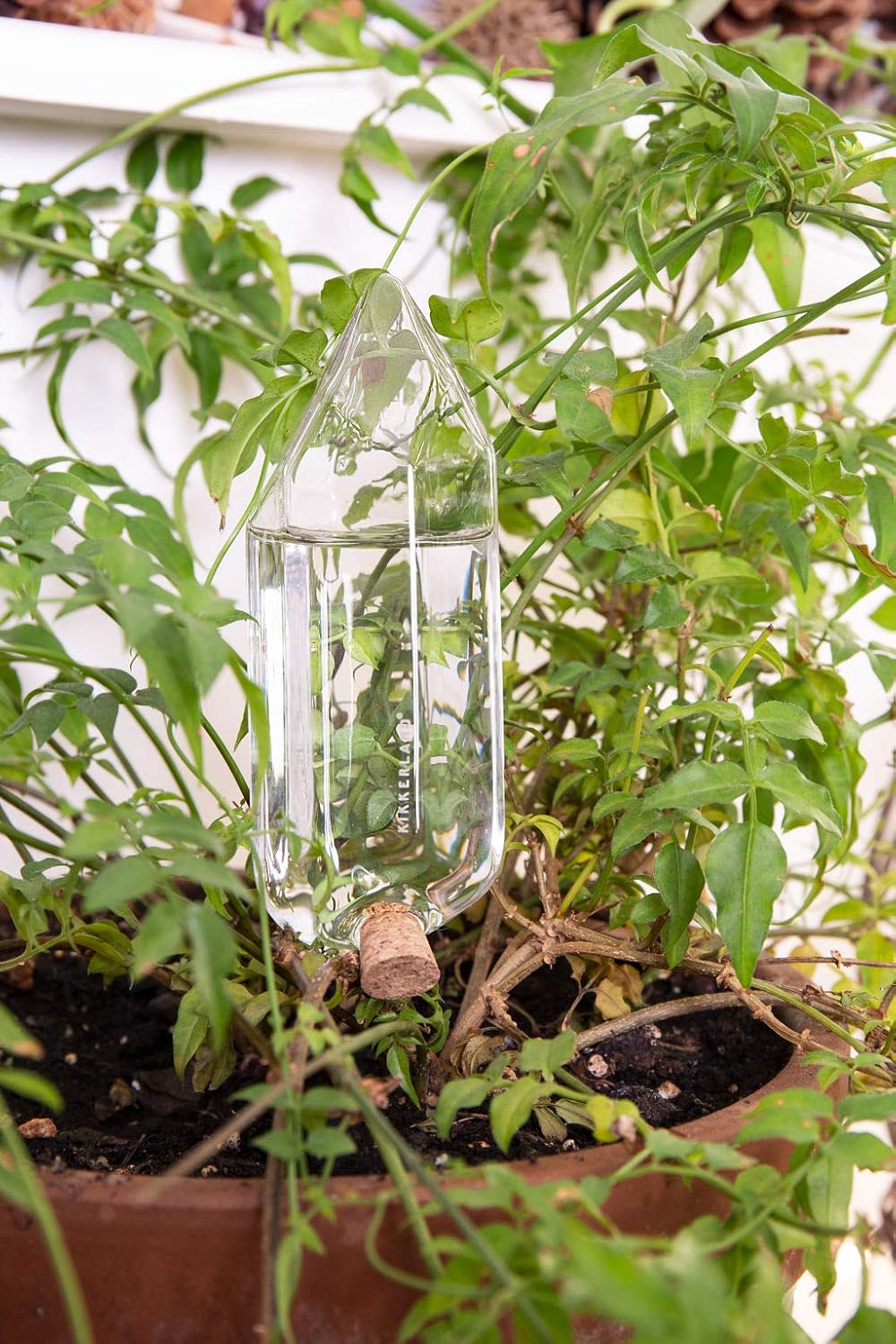 plant self watering stakes Kikkerland Water From A Crystal