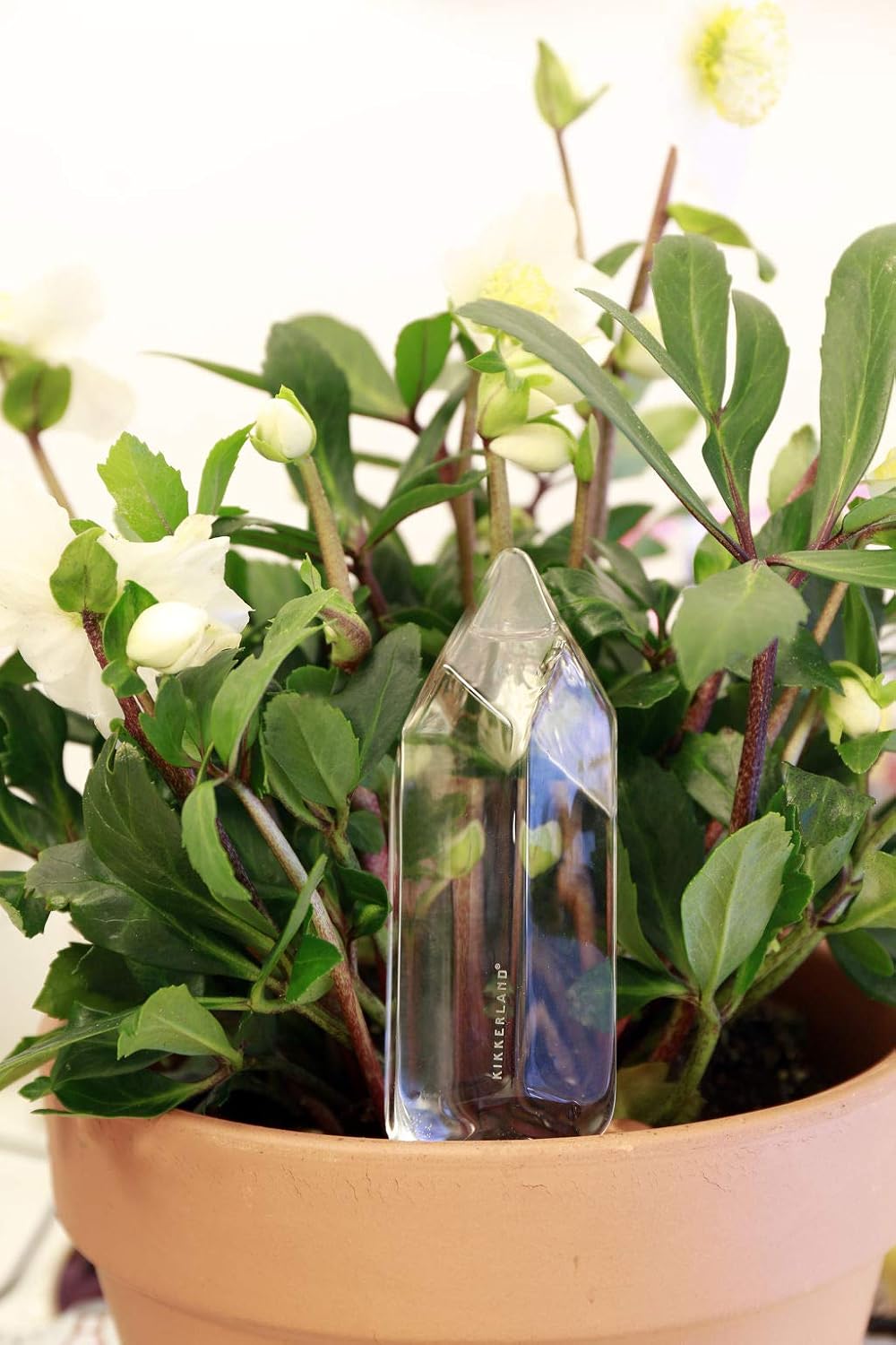 Kikkerland Hand Blown Crystal Glass Self Watering Stake for Potted Plants