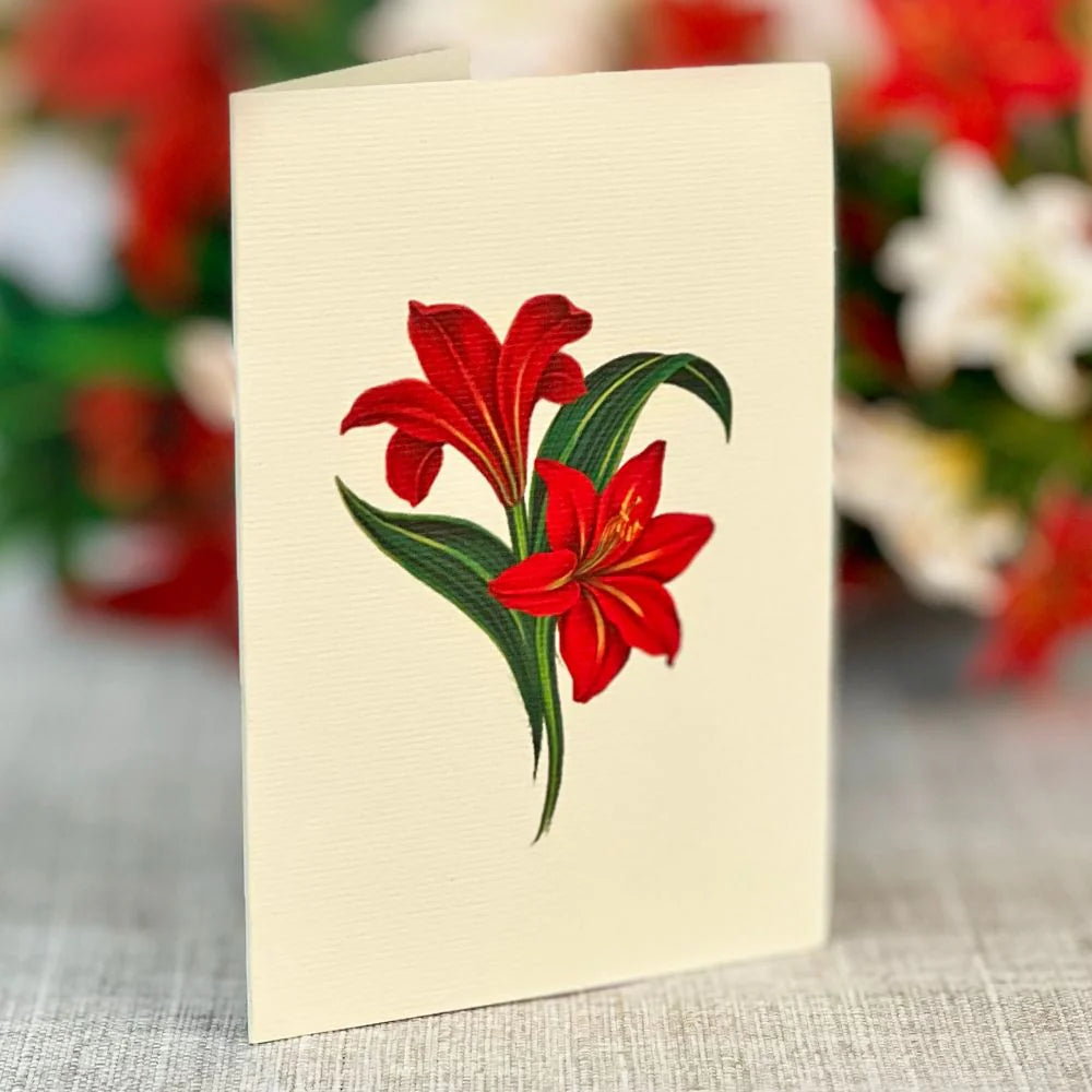 Fresh Cut Paper 3D Pop Up Flower Greeting Note Card – Winter Joy Bouquet – 6" x 5"