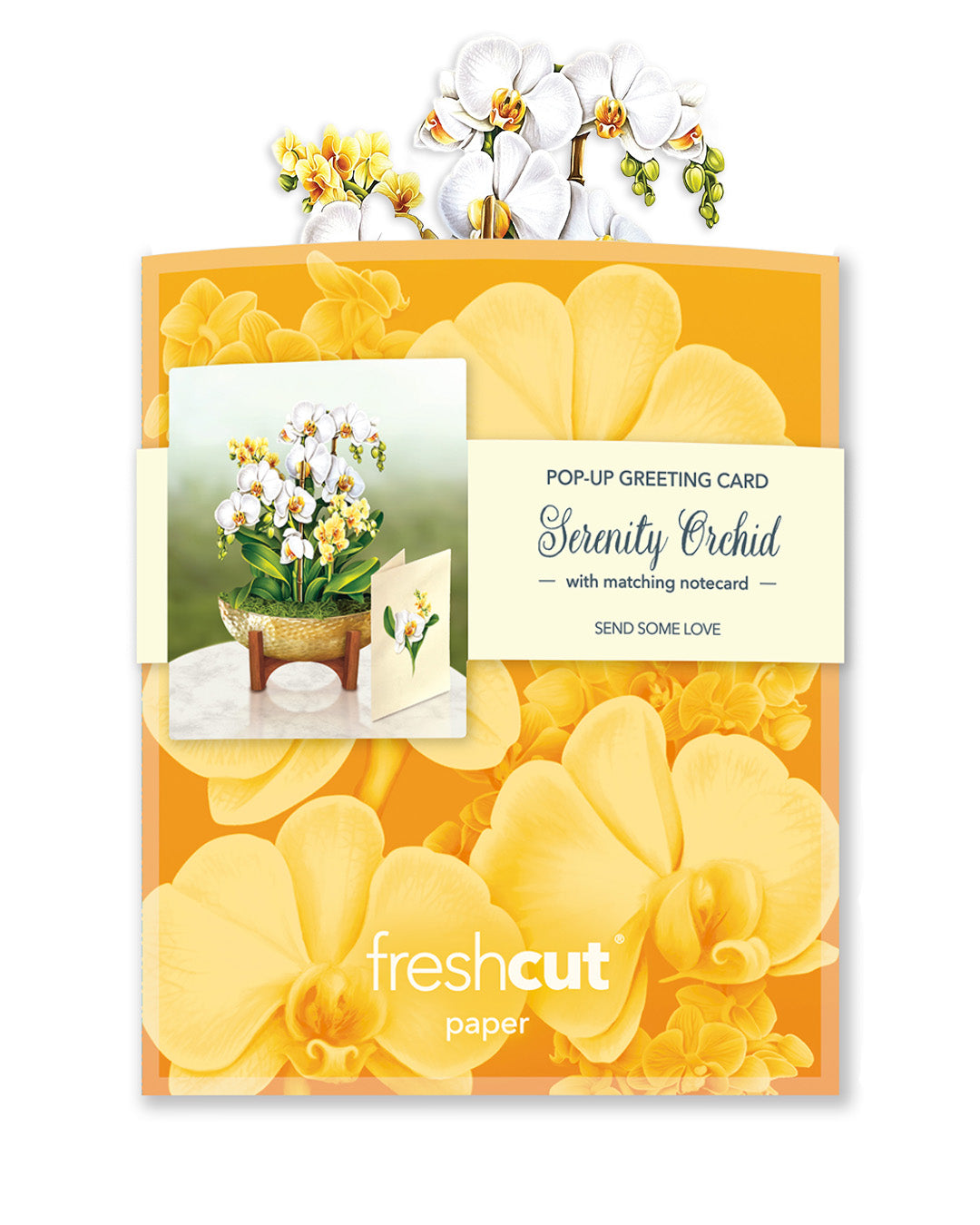 Fresh Cut Paper 3D Pop Up Flower Greeting Note Card – Serenity Orchid – 6" x 5"