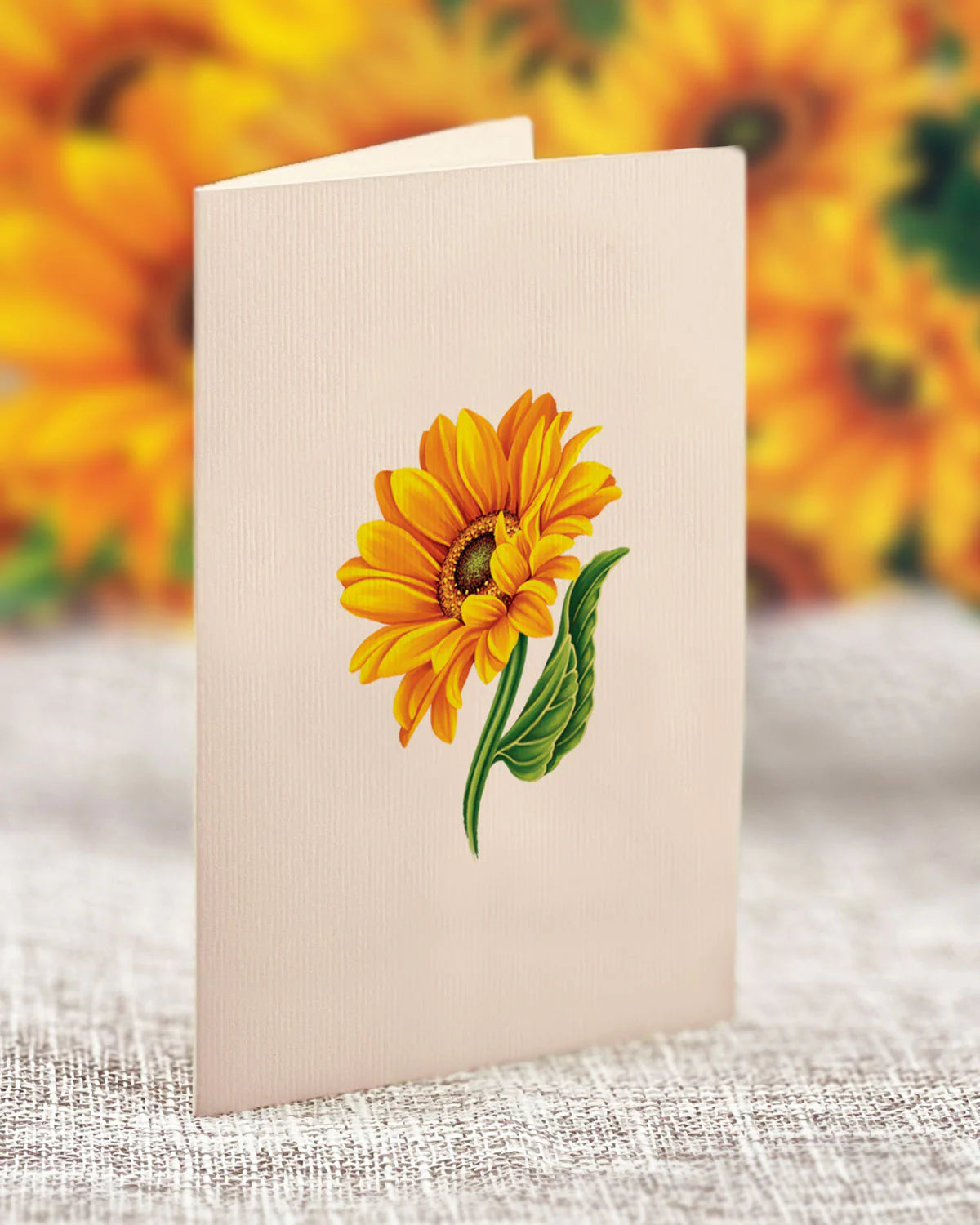 Fresh Cut Paper 3D Pop Up Flower Greeting Note Card – Sunflowers – 6" x 5"