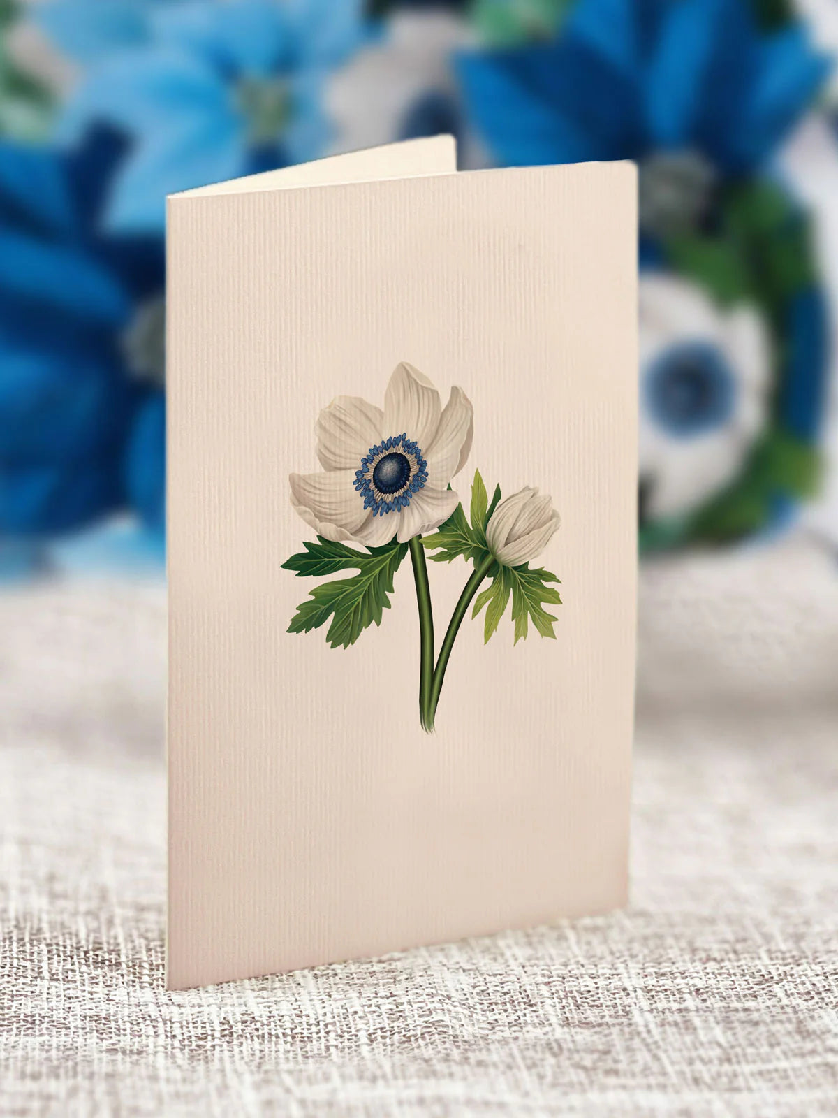 Fresh Cut Paper 3D Pop Up Flower Greeting Note Card – Blue Poinsettia – 6" x 5"