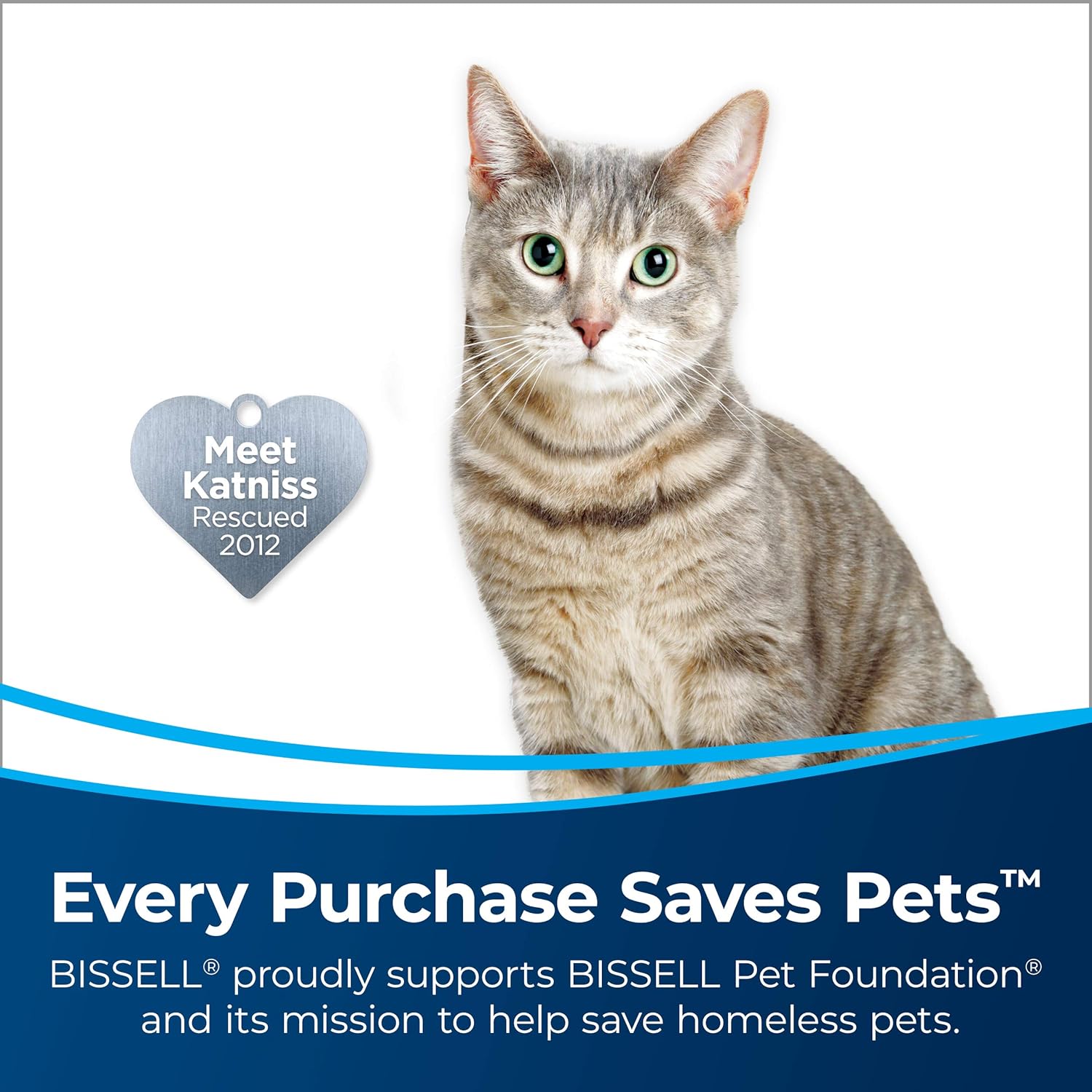 Bissell AeroSlim Cordless Handheld Vacuum With Standard & USB Charging