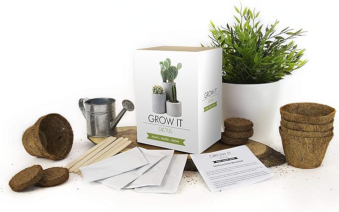 Grow Your Own Cactus Plants Kit