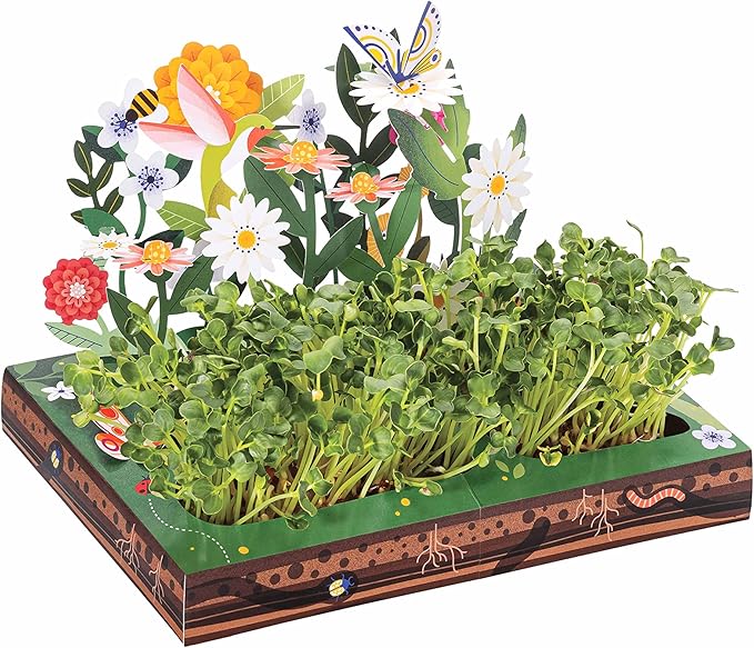 Modern Sprout Interactive Microgreens Garden Kit for Kids – Pollinator Habitat