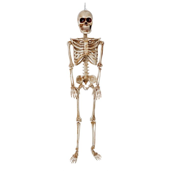 Posable Decorative Halloween Skeleton – 36"