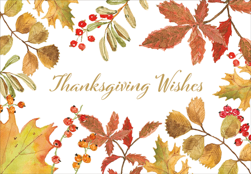 Caspari Thanksgiving Wishes Card – 1 Card & 1 Envelope