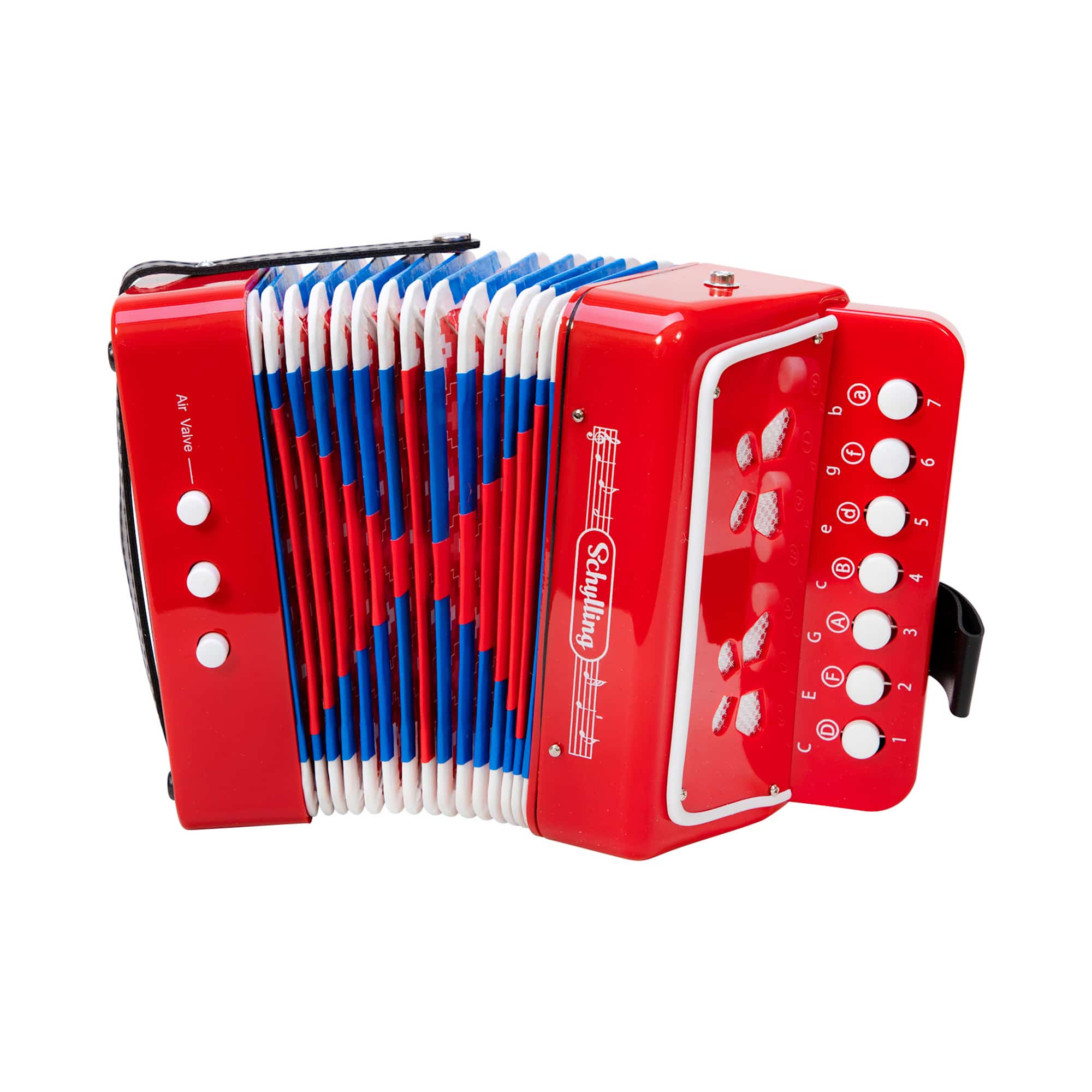 Learn To Play Accordion for Kids