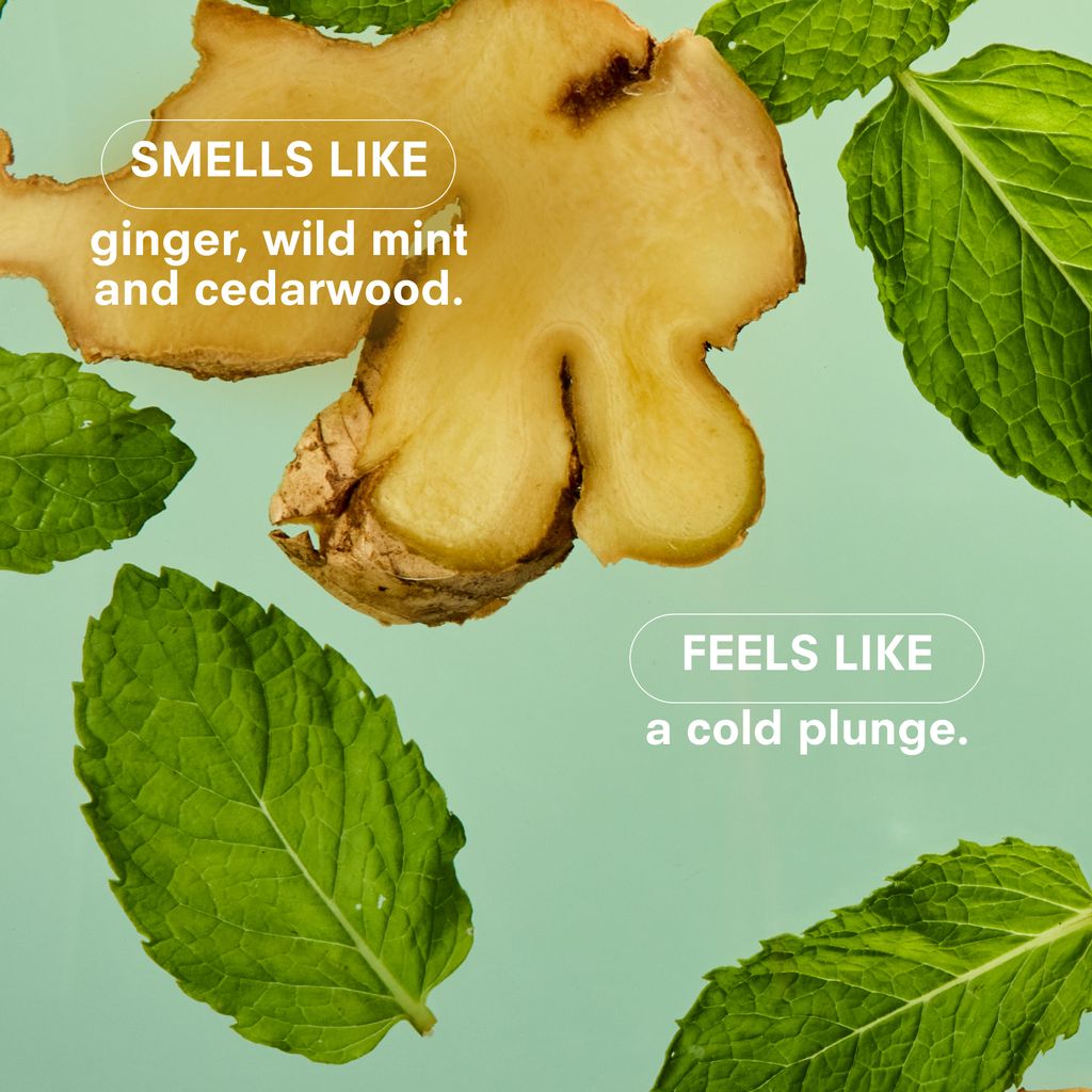 Boy Smells Essentials Scented Candle – Minty – 8.5oz.