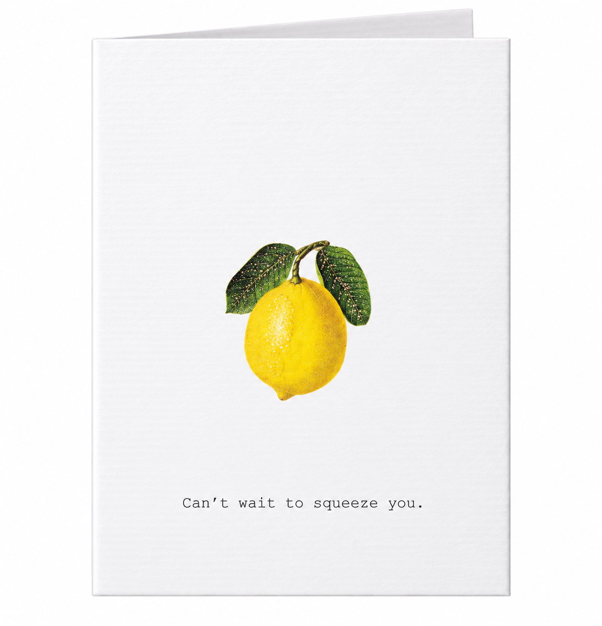 Tokyo Milk Can't Wait To Squeeze You Greeting Card – 3.5" x 5"