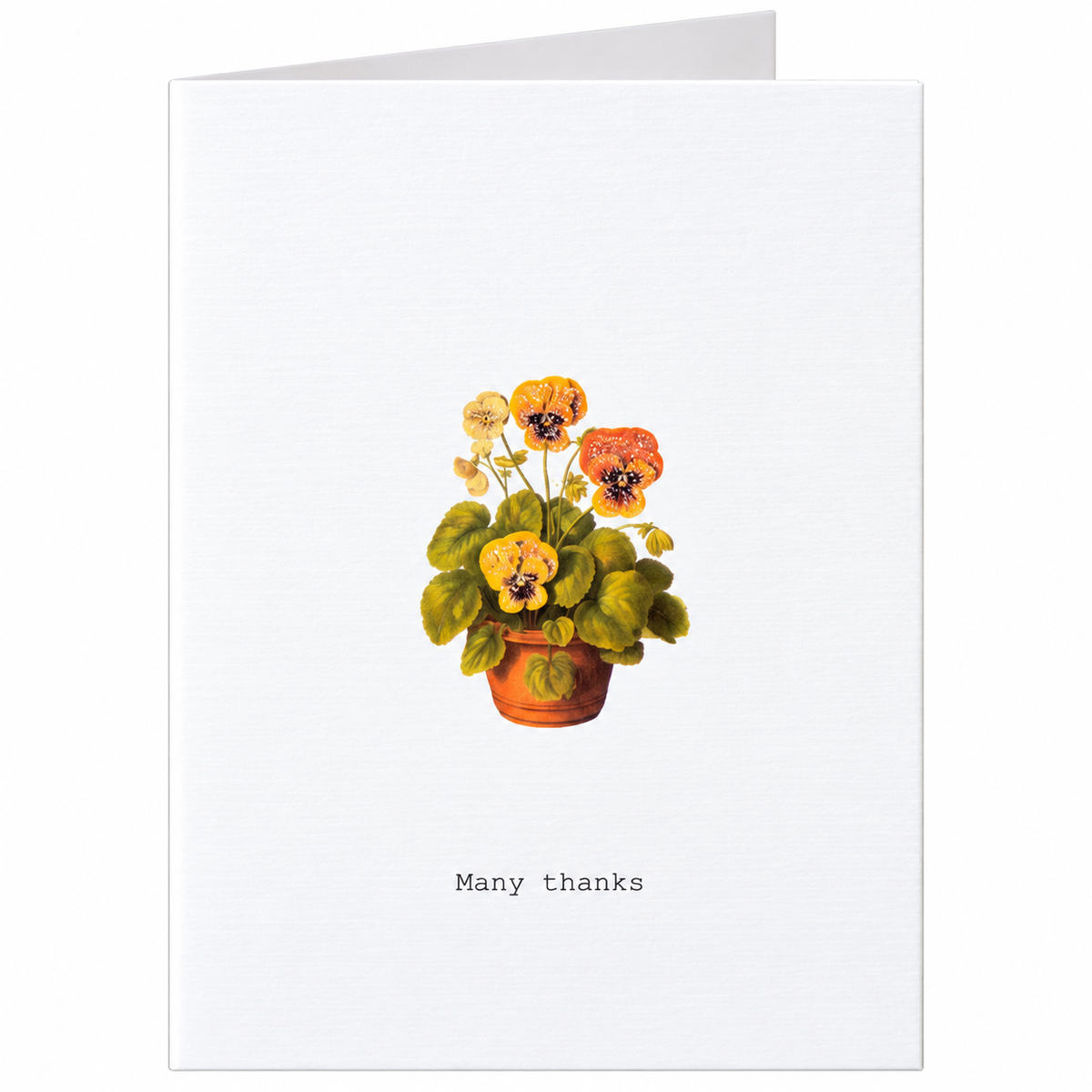 Tokyo Milk Many Thanks Greeting Card – 3.5" x 5"