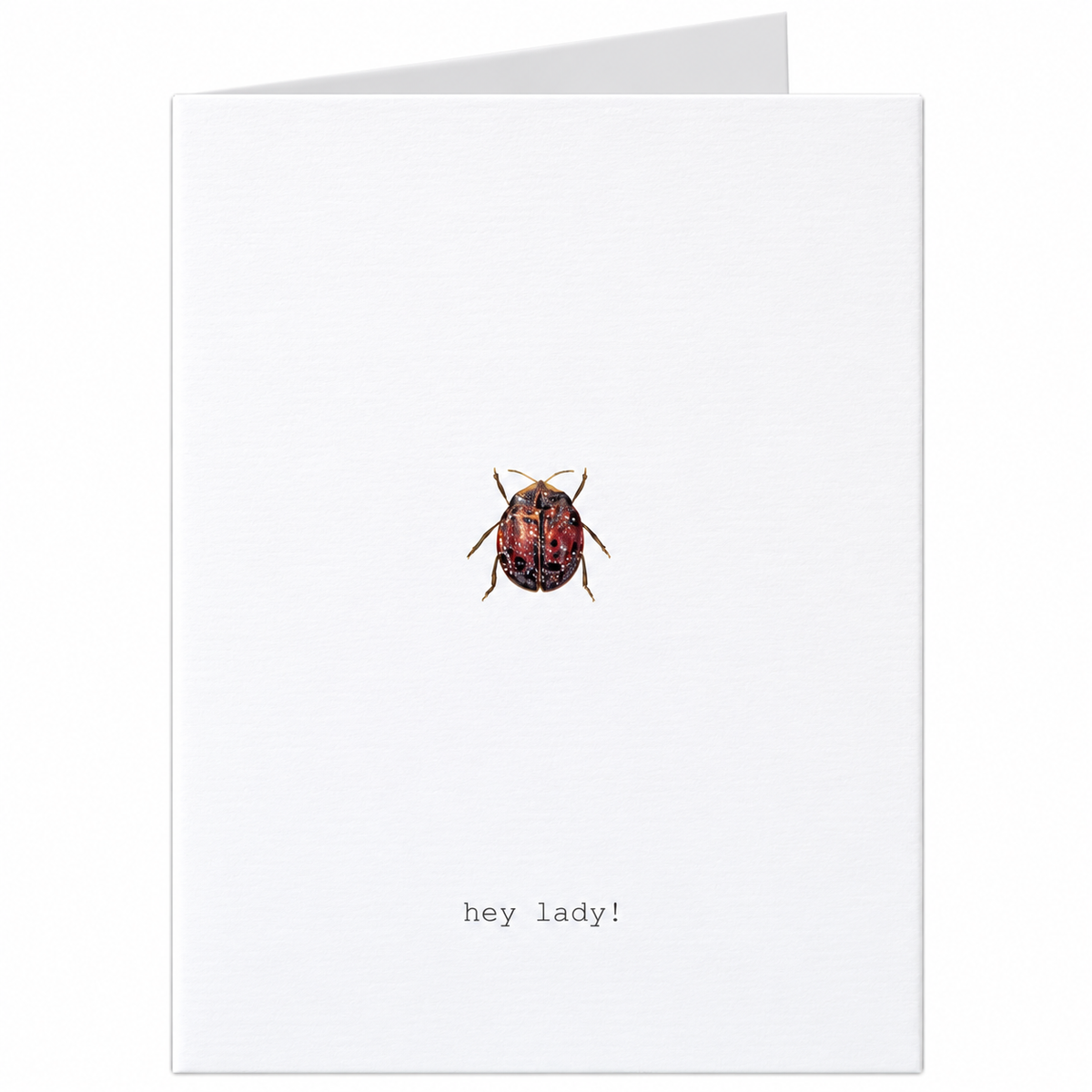 Tokyo Milk Hey Lady Greeting Card – 3.5" x 5"