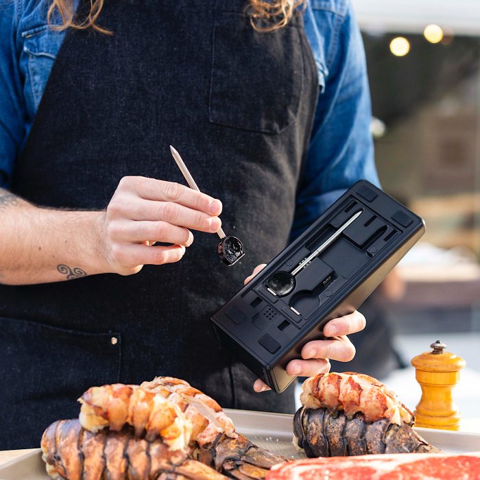 ChefsTemp ProTemp Plus Wireless Meat Thermometer