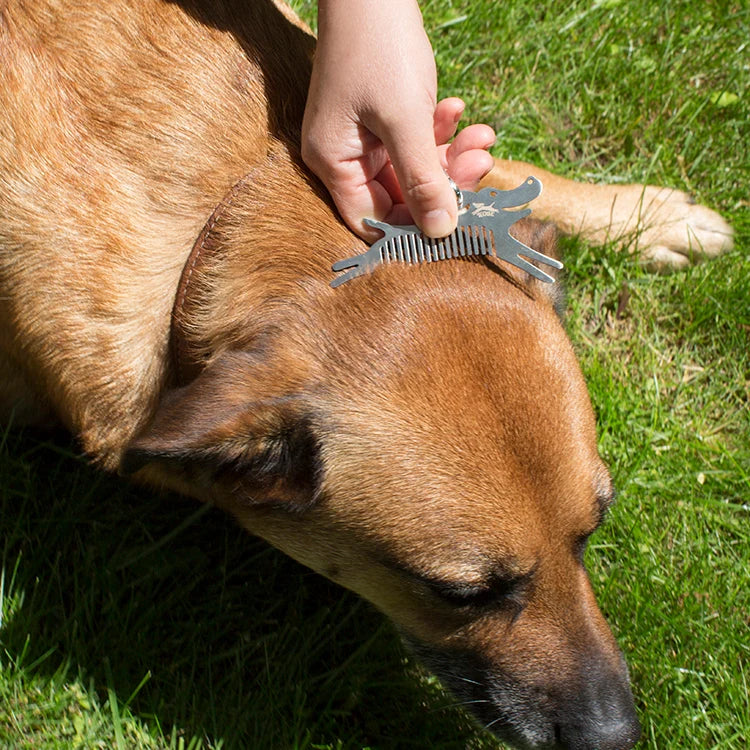 Kikkerland Kobe Tick Tool For Dogs