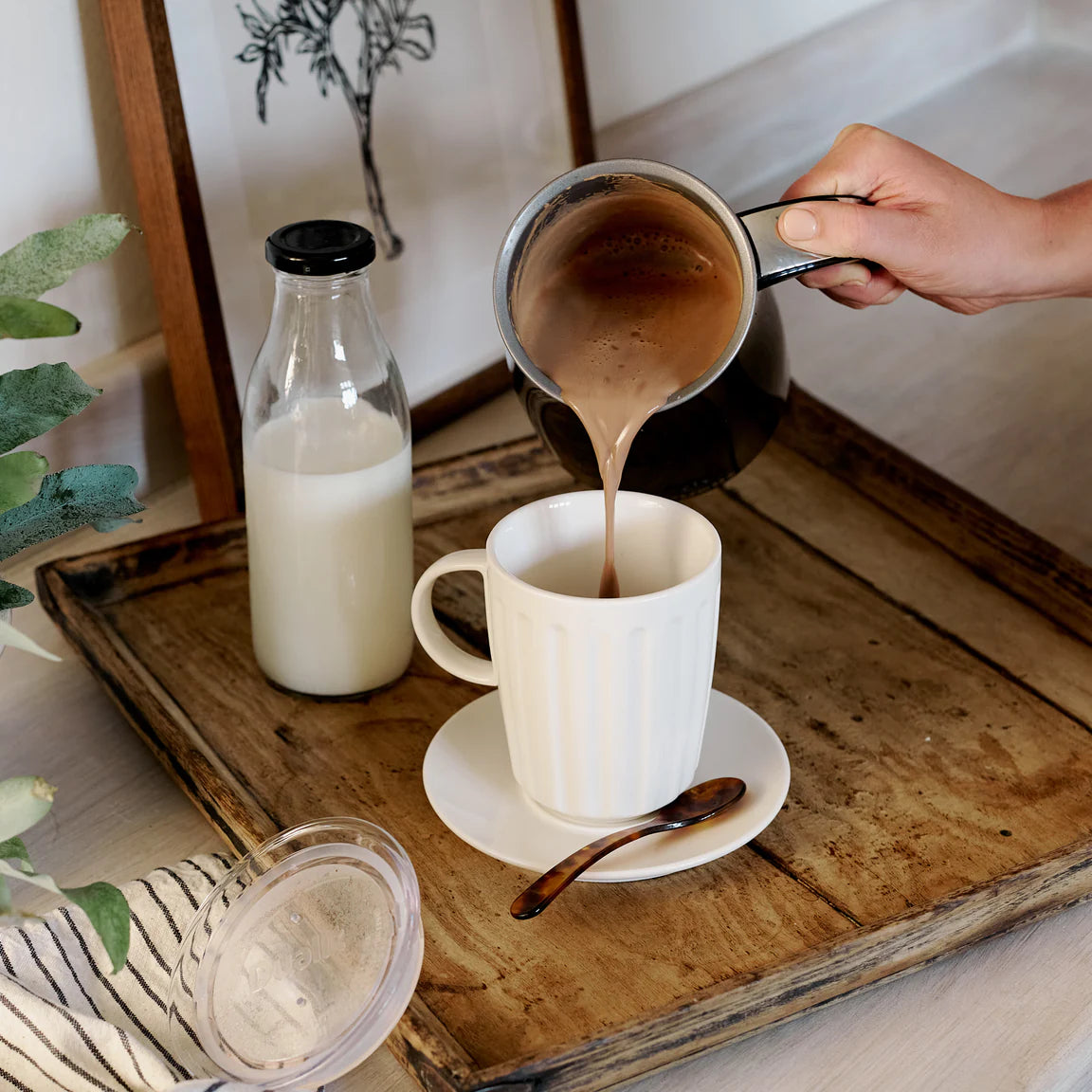 Dualit Stainless Cordless Milk Frother and Hot Chocolate Maker