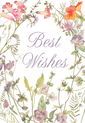 Caspari – French Floral - Bridal Showet Card – 1 Card & 1 Envelope