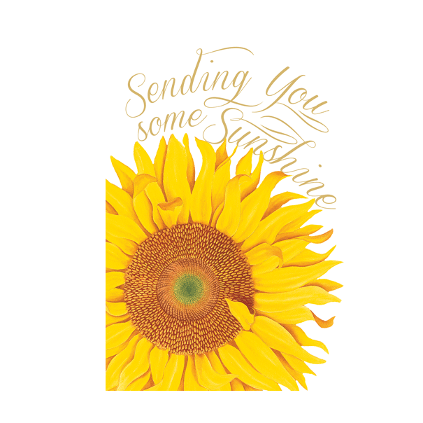 Caspari Sending Sunshine Get Well Card – 1 Card & 1 Envelope