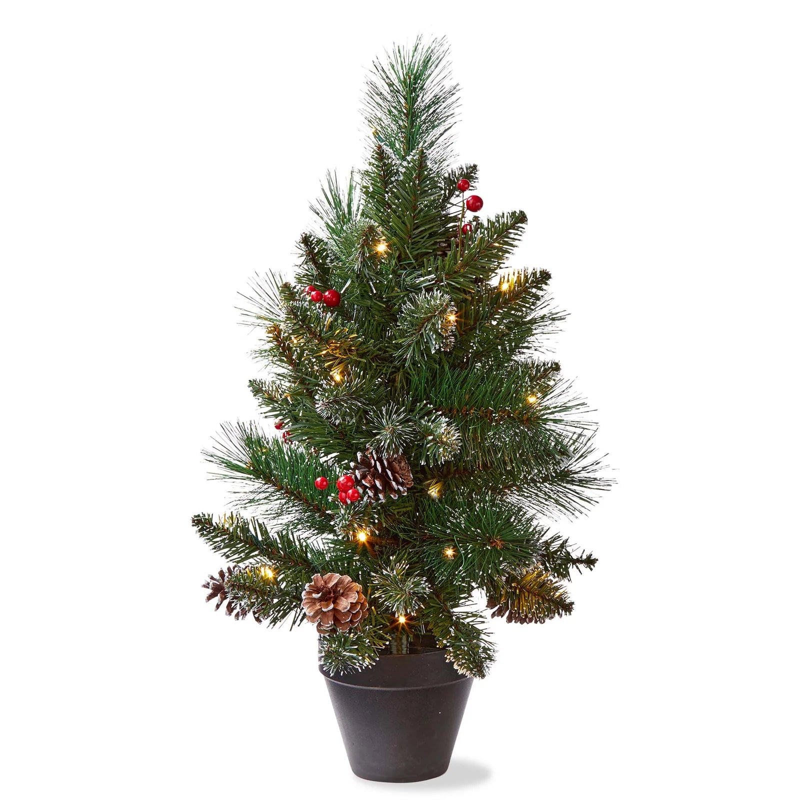 Tag Pre-Lit LED Winter Pine Tree – 16" x 24"
