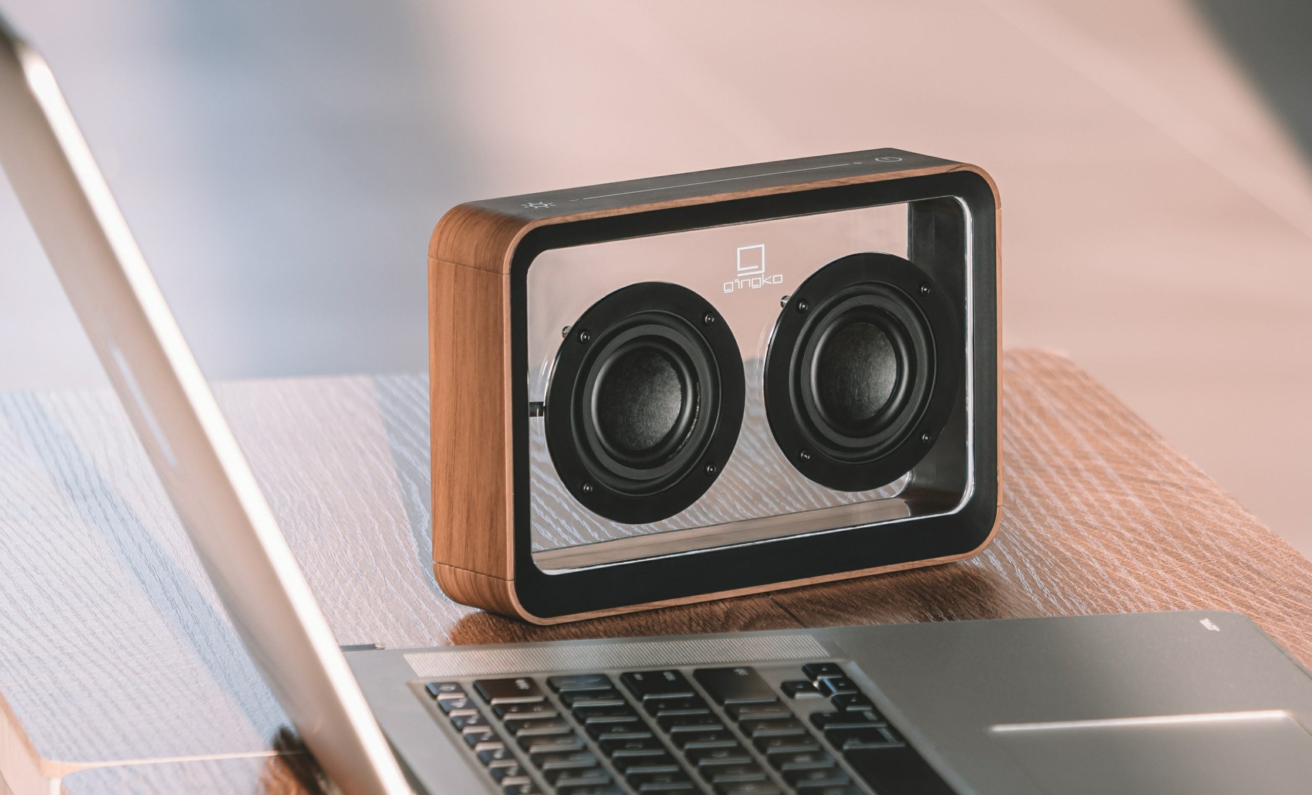 Gingko Mage See-Through Bluetooth Speaker – Walnut