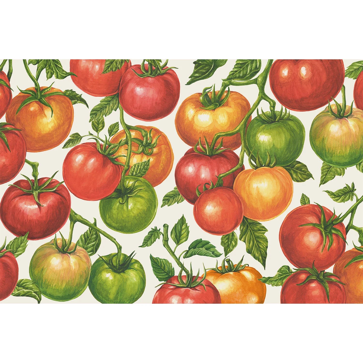Hester & Cook Paper Placemats - Tomato Vine Placemat – Pack of 18