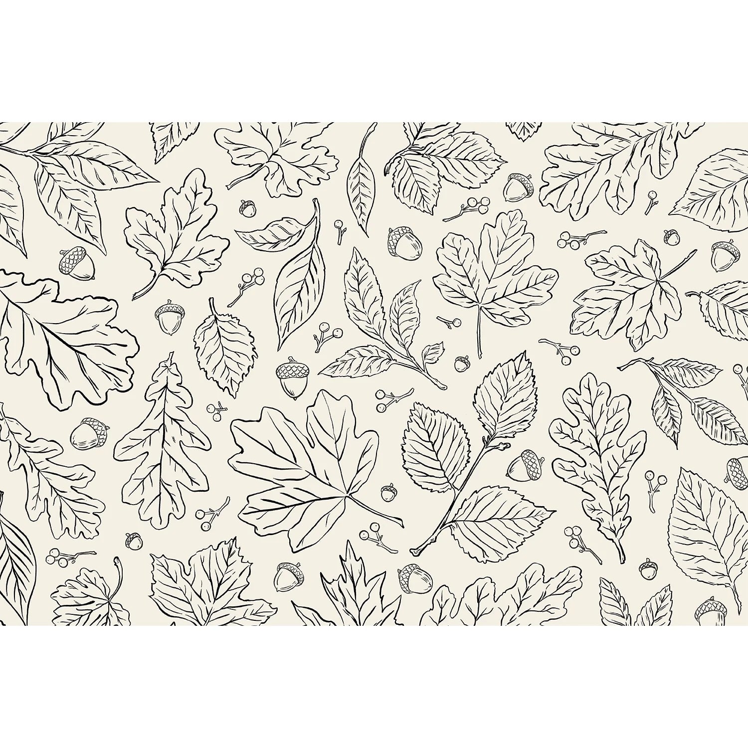 Hester & Cook Die-Cut Coloring Paper Placemats – Leaves – Pack of 18