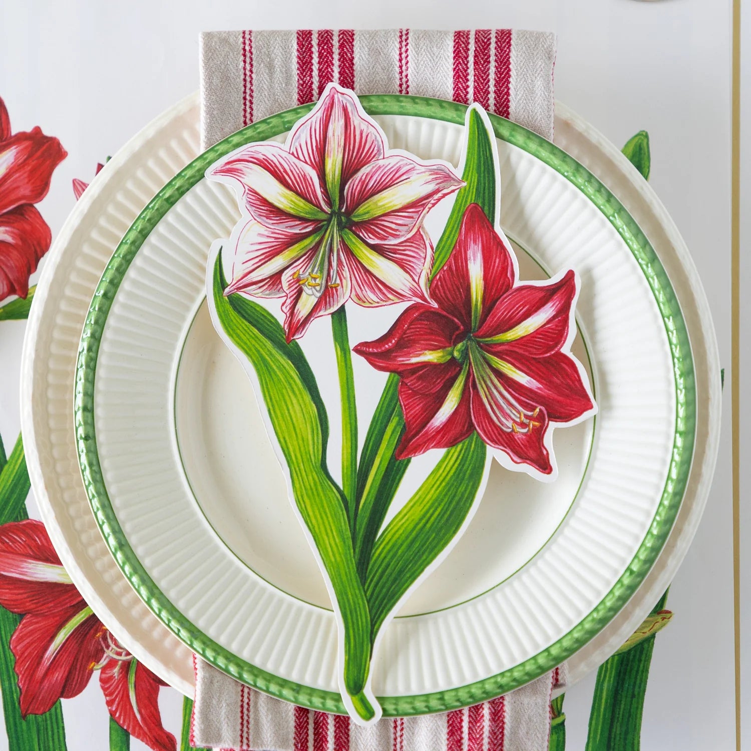 Hester & Cook Amaryllis Table Accent – 12pk