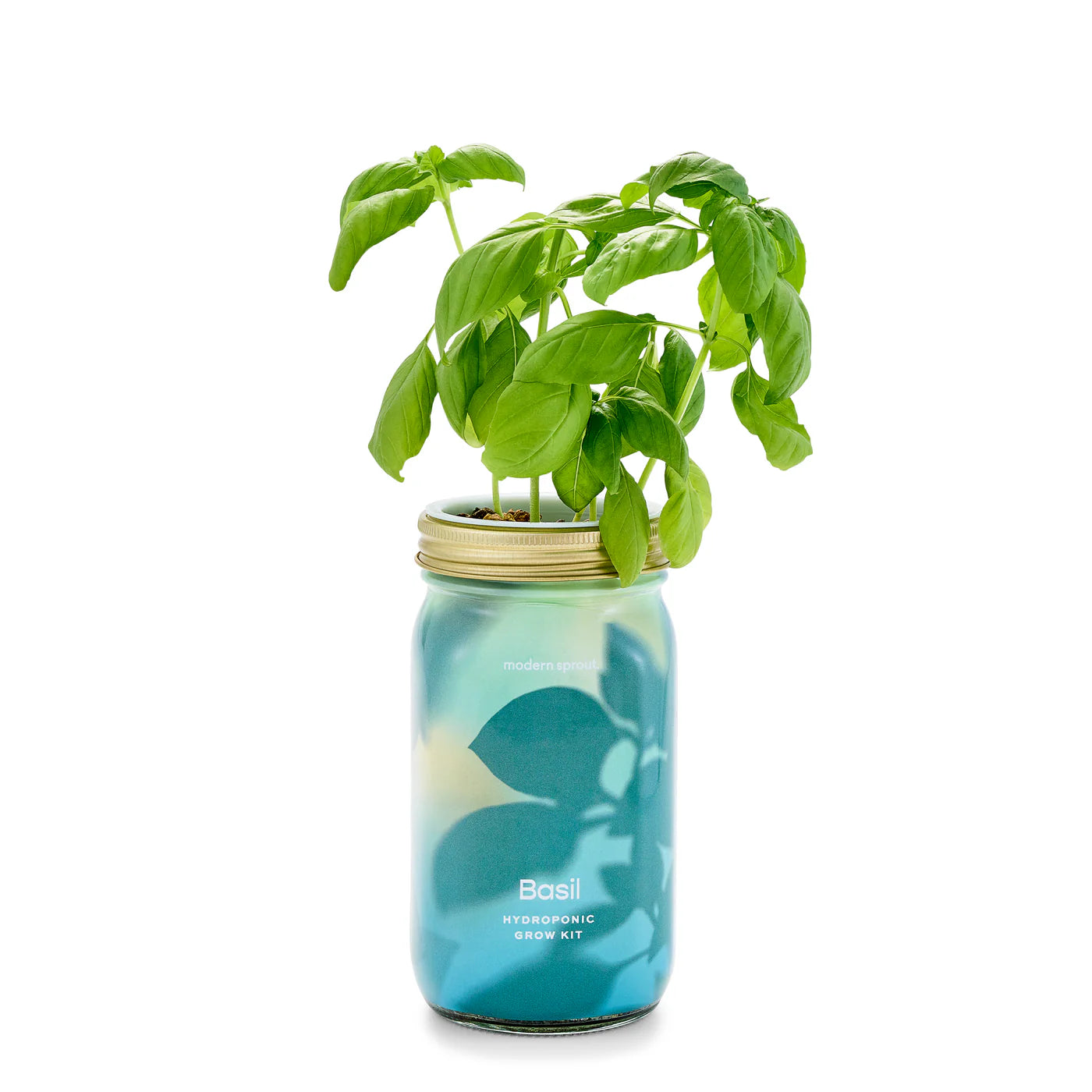 Modern Sprout Garden Jars Organic Herbs Hydroponic Indoor Grow Kit - Basil