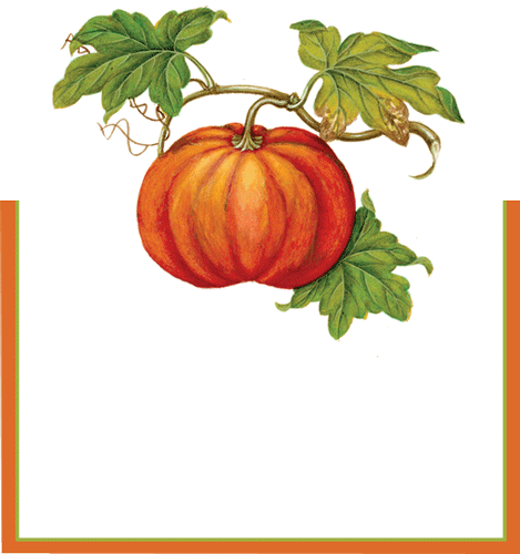 Caspari Jardin D'Automne Place Cards Die Cut Package - 8pk