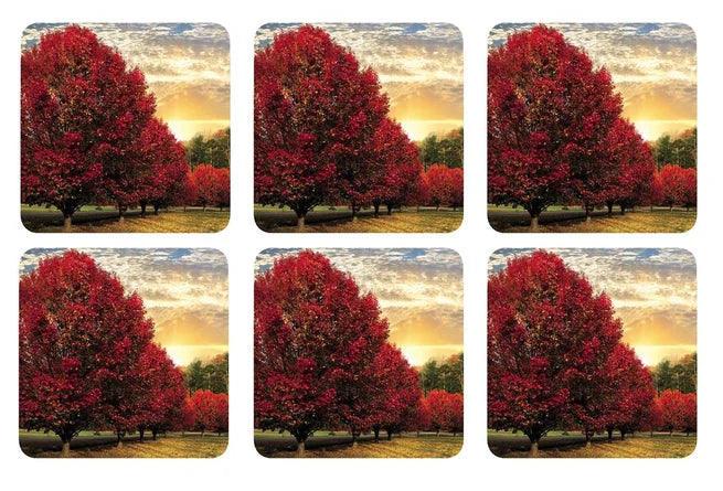 Crimson Trees Coasters – Set of 6