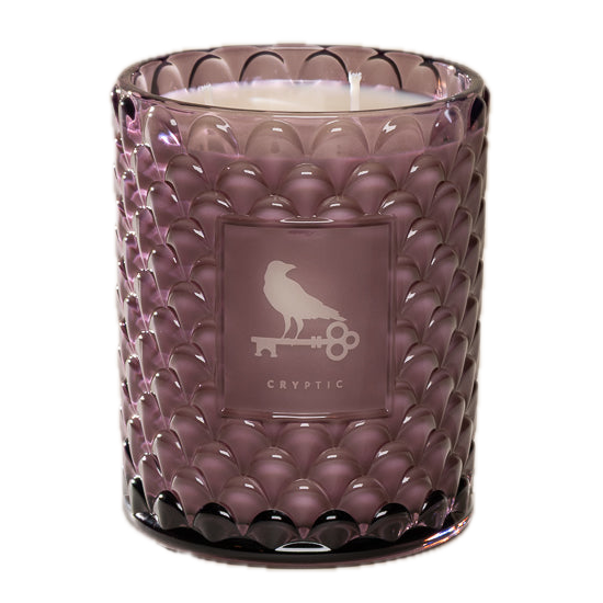 Poured New York Handmade Soy Candle – Cryptic – 22oz