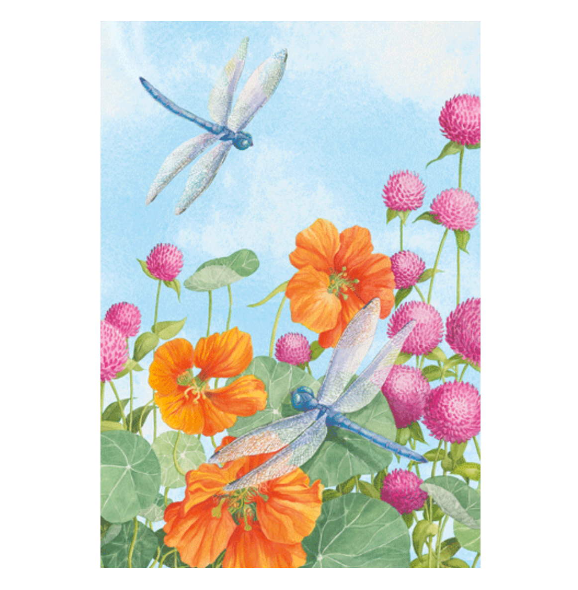 Caspari Dragonflies And Flowers – Blank Inside Card – 1 Card & 1 Envelope