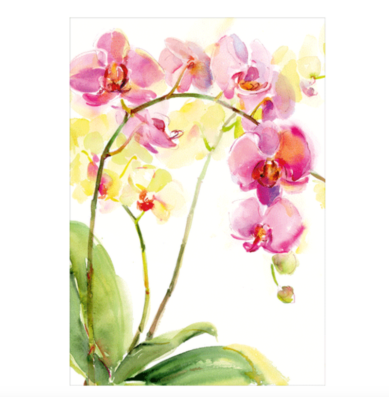 Caspari Watercolor Orchids – Blank Inside Card – 1 Card & 1 Envelope