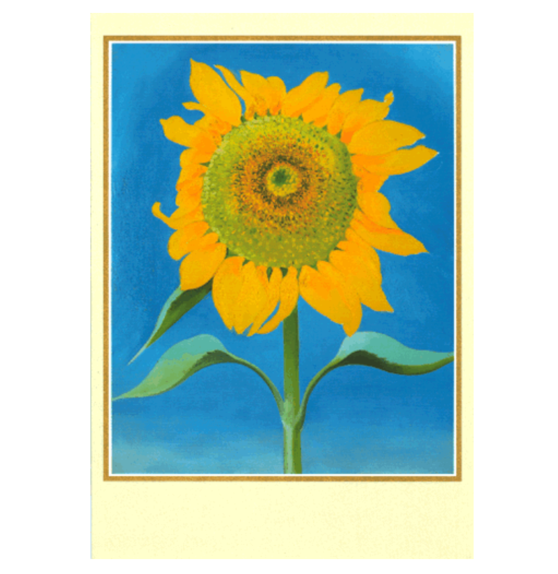 Caspari – Sunflower Get Well  Card – 1 Card & 1 Envelope